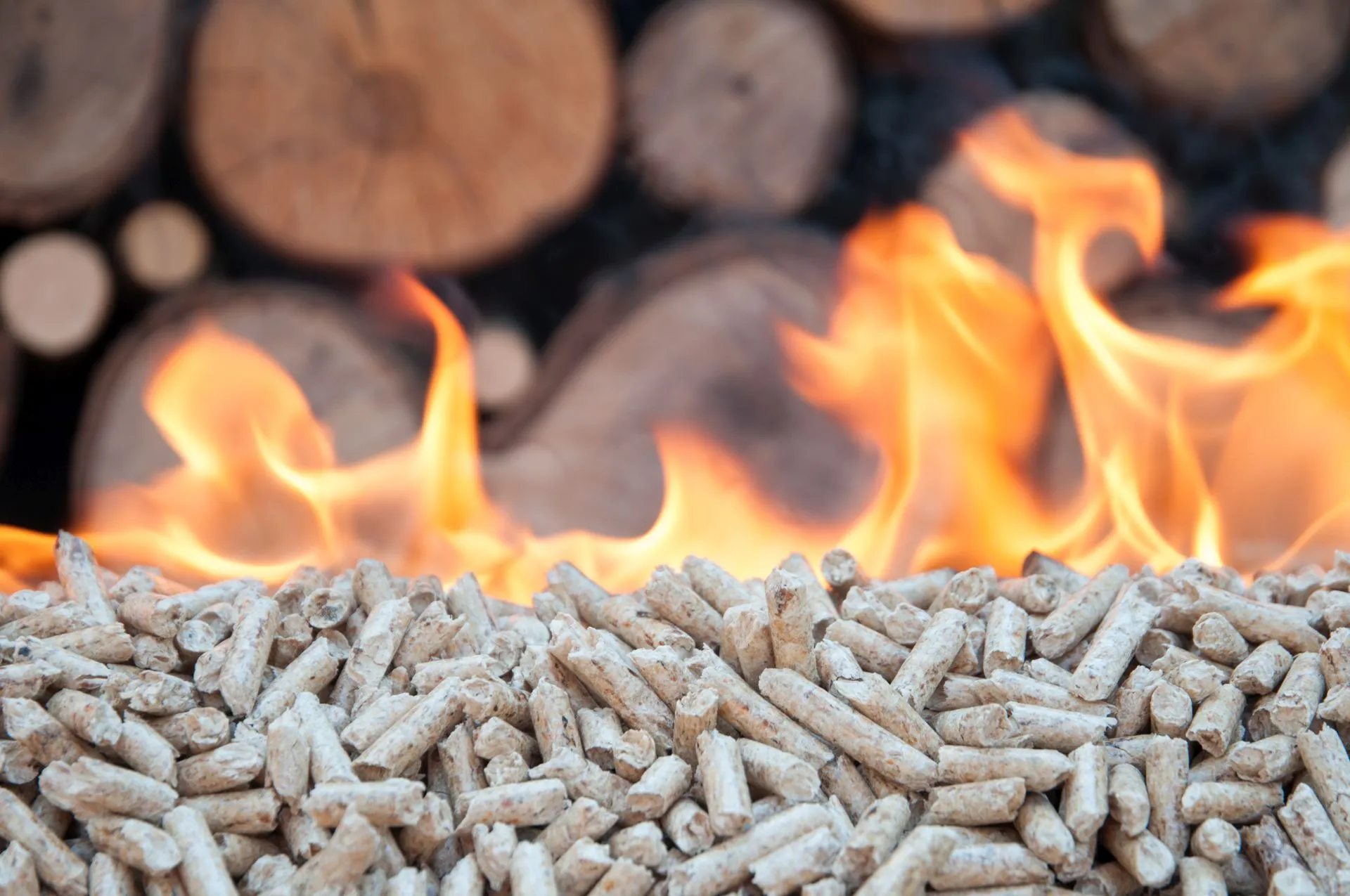 Eine Fotomontage aus Pellets, Feuer und Holzstämmen – symbolisch für Heizen mit Holz.